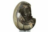 Septarian Dragon Egg Geode #253562-1